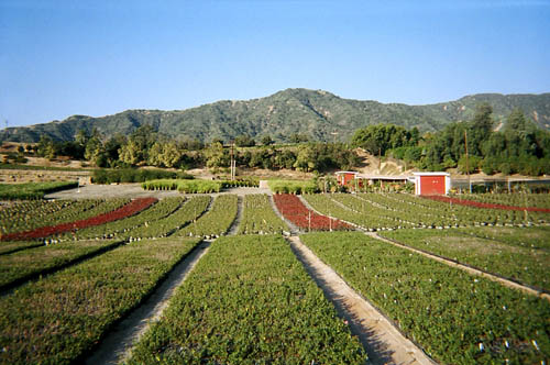 Azusa Peak