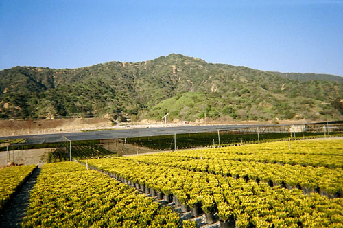 Azusa Peak