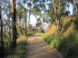 Old Zoo Trail, Griffith Park