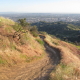 Descending south from Mt. Hollywood, Griffith Park