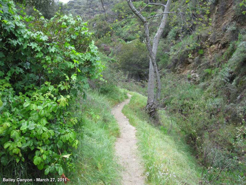 Bailey Canyon Trail