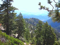 Looking southwest into Manker Canyon en route to Mt. Baldy