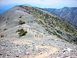 View east toward Mt. Hardwood from the east slope of Mt. Baldy
