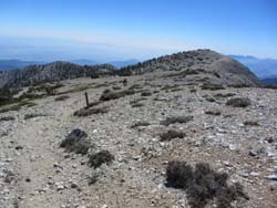 View west from Mt. Baldy toward West Baldy and the south ridge