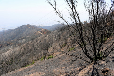 August 27, 2016 - Fire Fire Damage - View south from the ridgline of Mount Bliss toward Van Tassel Fire Road