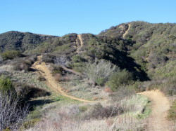 Upper Colby Trail