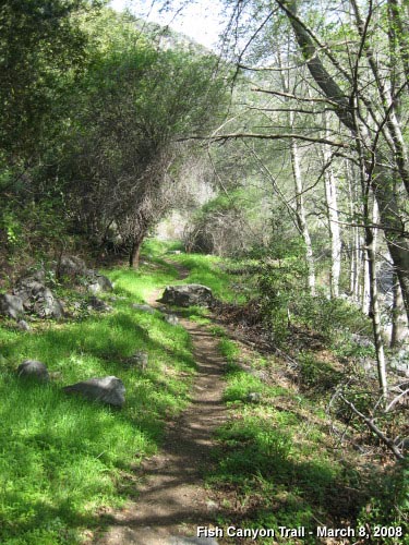Fish Canyon Trail