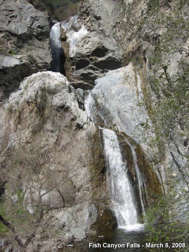 Fish Canyon Falls, March 8, 2008