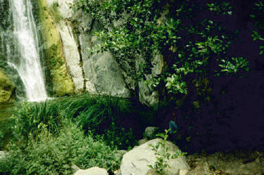 Fish Canyon Falls, main pool, May 24, 1997