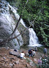 Monrovia Canyon Falls