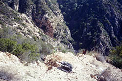 Rubio Canyon