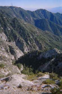 View southeast toward Eaton Canyon and Mt. Wilson from the midsection of Mt. Markham
