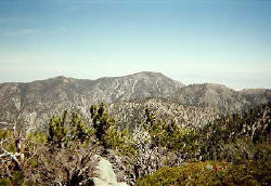Looking south from Telegraph Peak toward Cucamonga Peak and  Timber Mt. (8303') in front of it