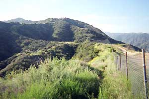 Van Tassel Ridge